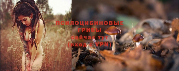молекула духа Лабытнанги