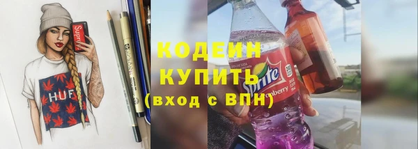 молекула духа Лабытнанги