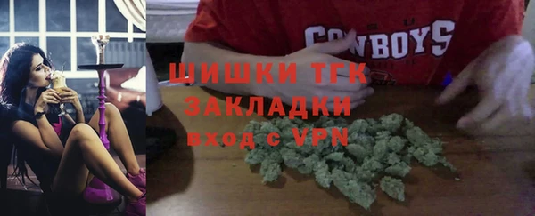 ГАЛЛЮЦИНОГЕННЫЕ ГРИБЫ Ладушкин