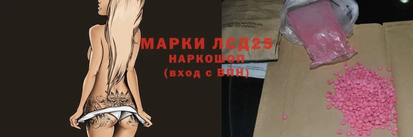 молекула духа Лабытнанги