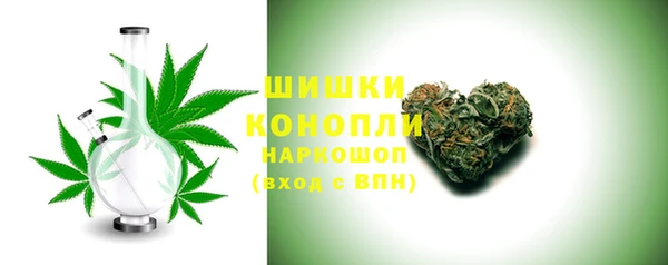 ГАЛЛЮЦИНОГЕННЫЕ ГРИБЫ Ладушкин