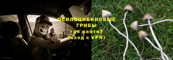 молекула духа Лабытнанги