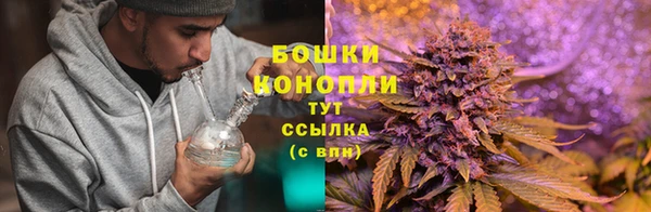 молекула духа Лабытнанги