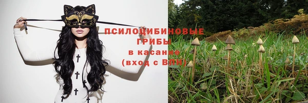 ГАЛЛЮЦИНОГЕННЫЕ ГРИБЫ Ладушкин