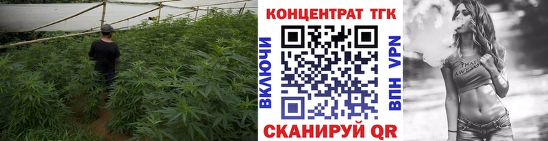 закладки  Мичуринск  ТГК гашишное масло 